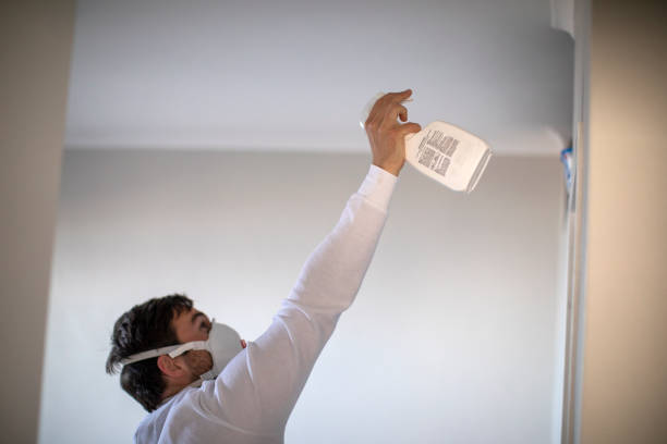 Best Commercial Mold Removal  in Chester, PA