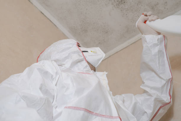 Best Home Mold Removal  in Chester, PA
