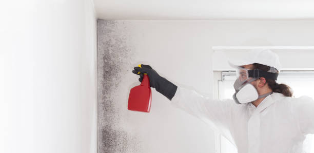 Crawl Space Mold Removal in Chester, PA